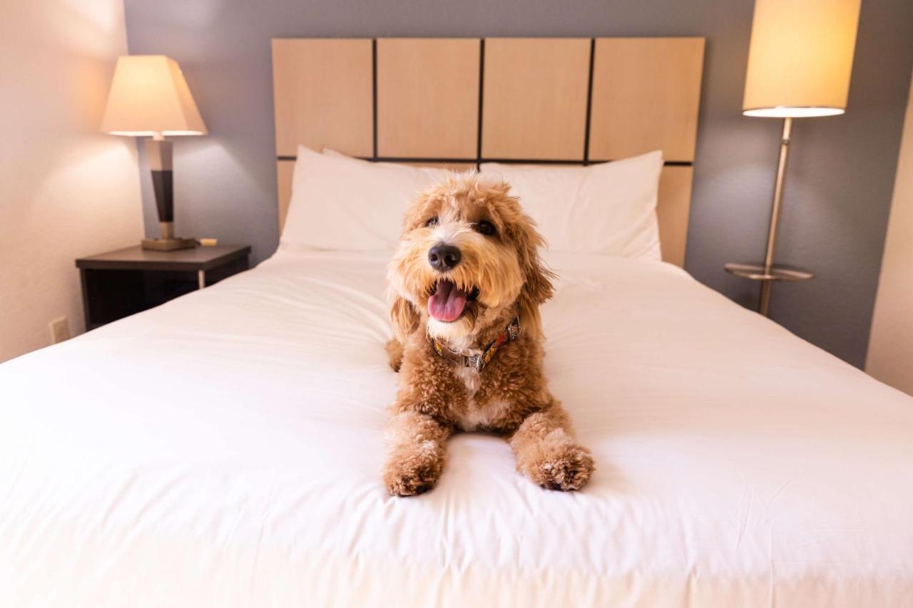 Sonesta Simply Suites Plano Frisco Kültér fotó